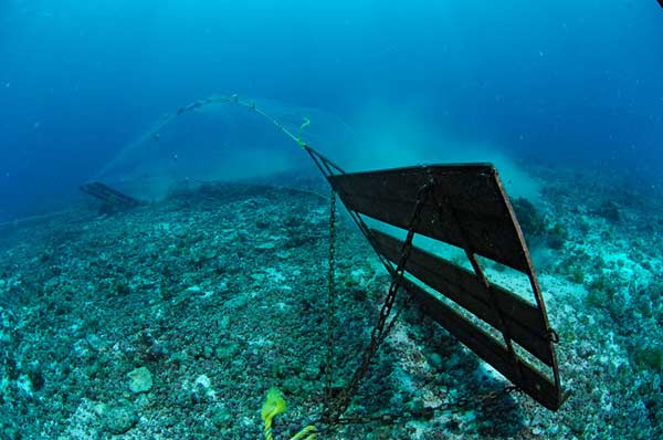 Protezione dei mari: gli effetti della pesca a strascico sul rilascio di CO² dai fondali marini