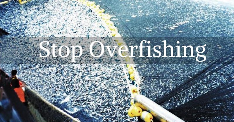 Torniamo sulla pesca eccessiva … un disastro annunciato in cui anche i Paesi europei fanno la loro parte