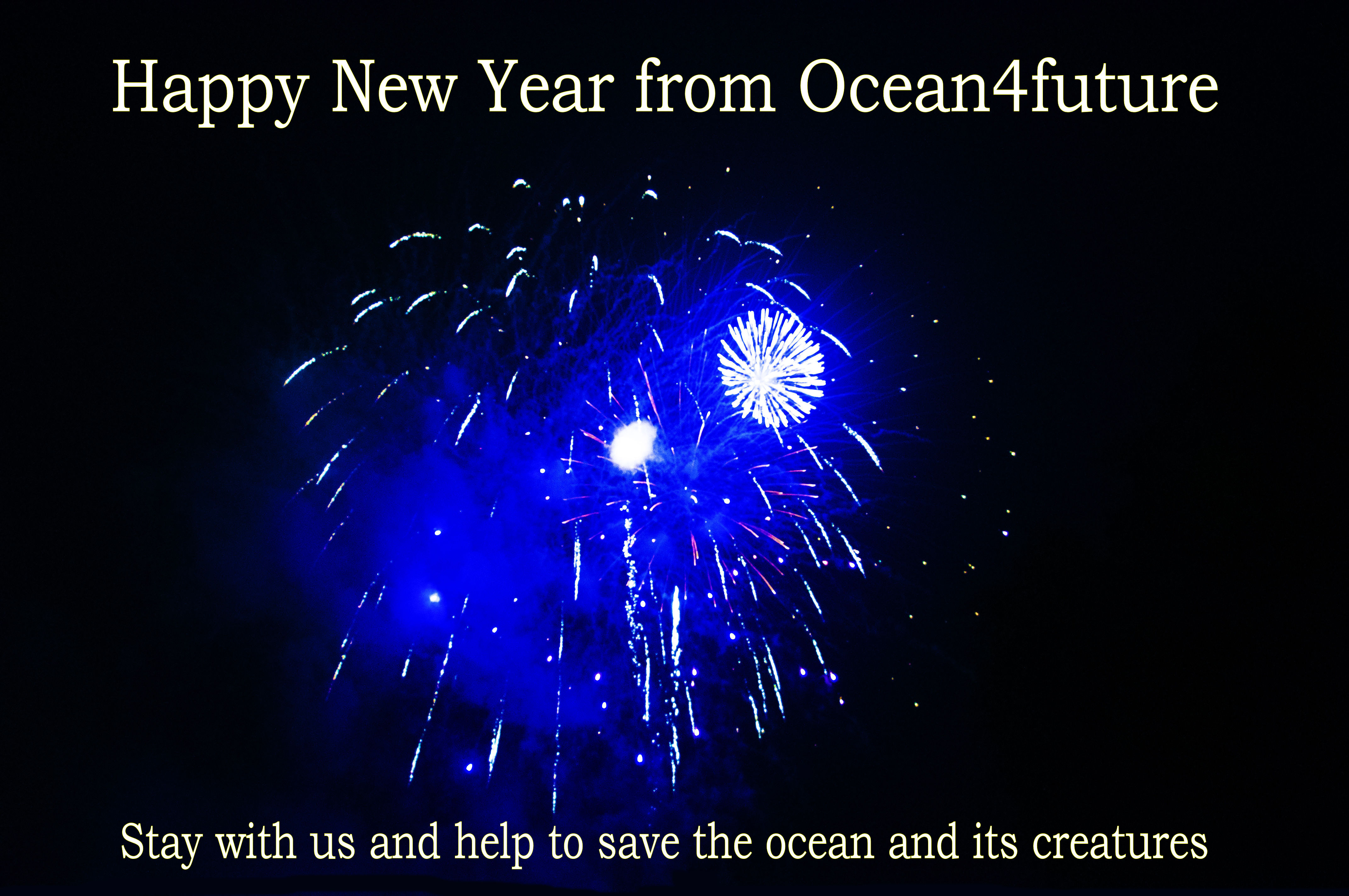 Ocean4future: Happy and Serene 2017