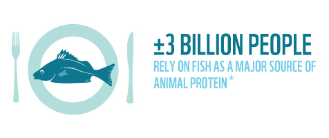 3billion_people_depend_fish_infographic