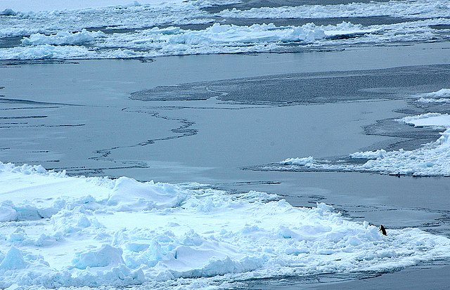 Questa immagine ha l'attributo alt vuoto; il nome del file è MARE-OCEANO-ARTICO-640px-2007_Snow-Hill-Island_Luyten-De-Hauwere-Sea-Ice-40.jpg
