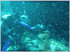 Questa immagine ha l'attributo alt vuoto; il nome del file è uw_backspatter-img.jpg