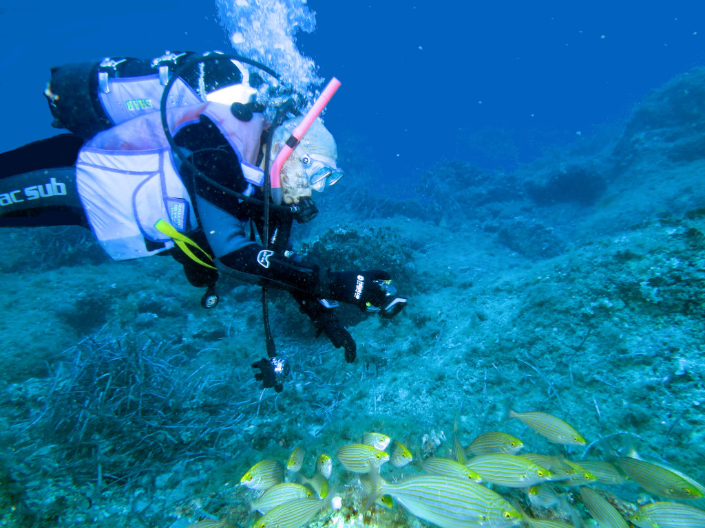 Questa immagine ha l'attributo alt vuoto; il nome del file è 29-corso-issd-2016-Tavolara-72-1024x768.jpg