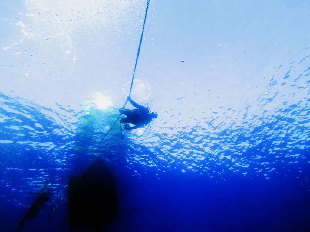 Questa immagine ha l'attributo alt vuoto; il nome del file è IMG_0440-1024x768.jpg