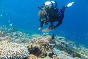 L'importanza delle barriere coralline