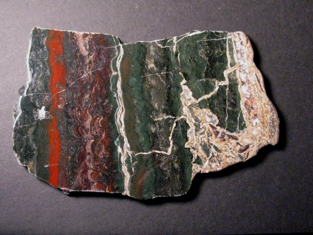 stromatolite
