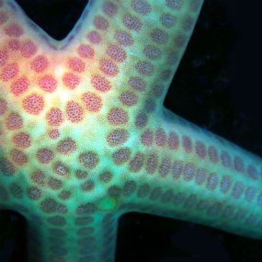 cropped-xfs_400x400_s80_IMG_3730mr.jpg