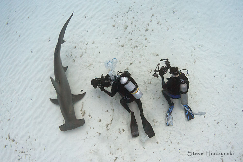 steve hinczynski - great hammerhead 20130203 0384