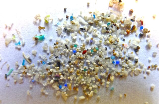 MICROPLASTICHE Microplastic - WIKIMEDIA COMMONS
