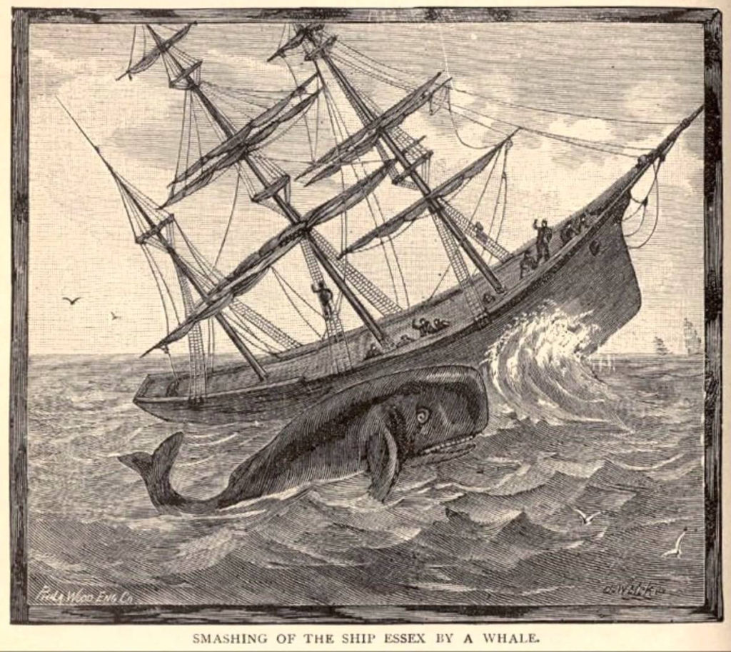 Questa immagine ha l'attributo alt vuoto; il nome del file è essex-whaler-1-1024x913.jpg