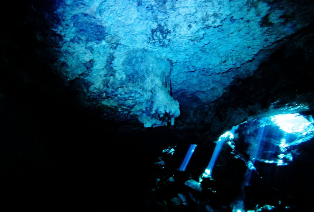 Questa immagine ha l'attributo alt vuoto; il nome del file è G0050474fbm-1024x691.jpg