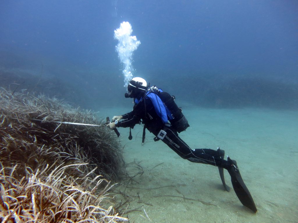 Questa immagine ha l'attributo alt vuoto; il nome del file è IMG_4506-1024x768.jpg