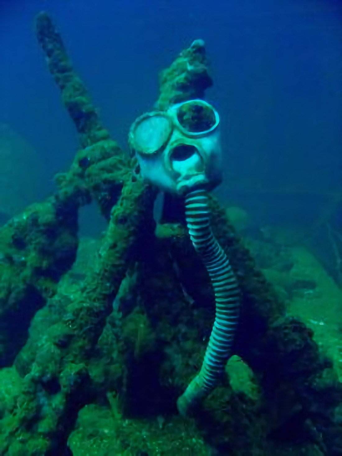 RELITTI-TRUK-Reef0838_NOAA_Photo_Library-