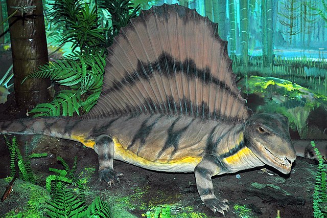 PERMIANO 640px-Diorama_of_a_Permian_forest_floor_-_Dimetrodon_1_(43884793680)