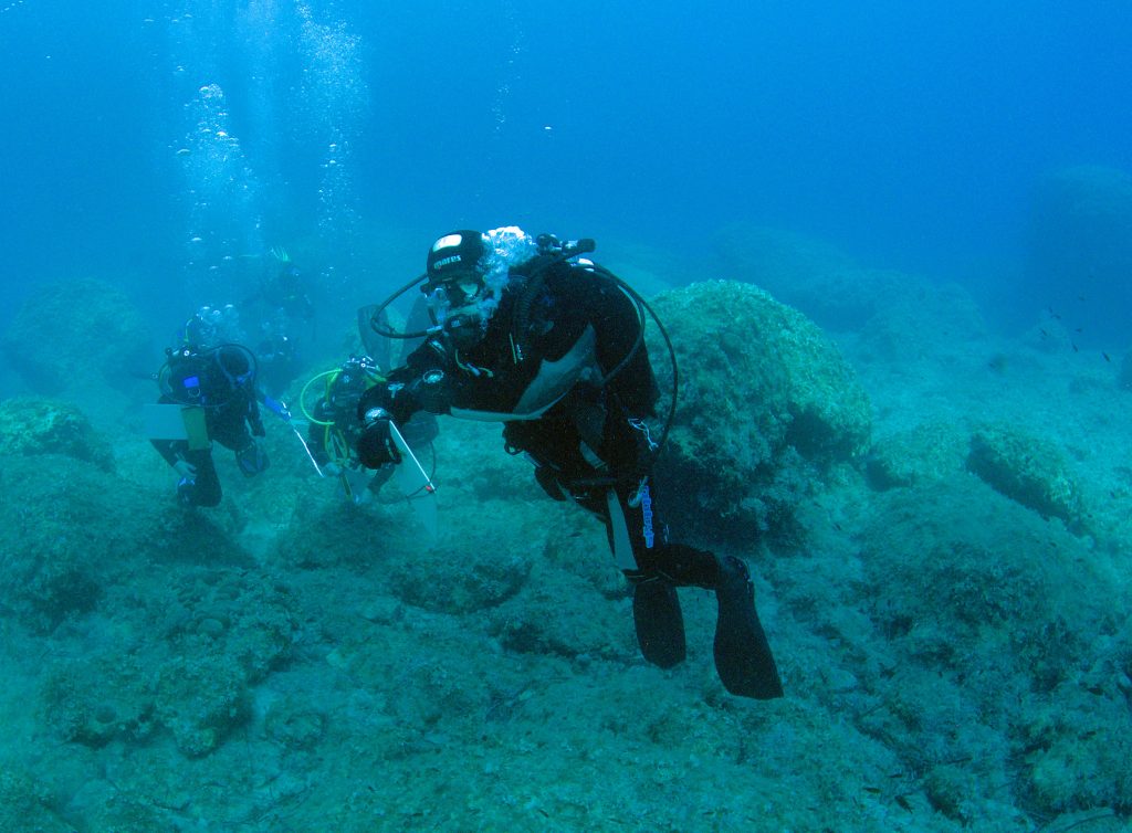 Questa immagine ha l'attributo alt vuoto; il nome del file è DSC_8143-1-1024x754.jpg