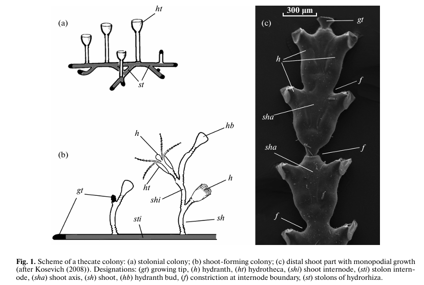 Questa immagine ha l'attributo alt vuoto; il nome del file è Screenshot-2025-05-18-161455.png