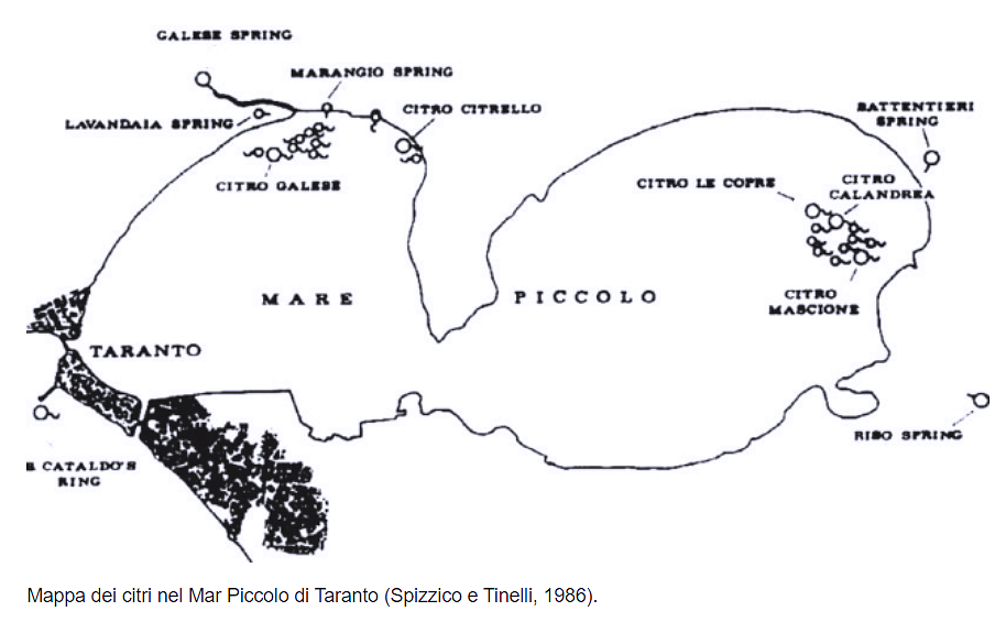 Questa immagine ha l'attributo alt vuoto; il nome del file è citro-taranto.png