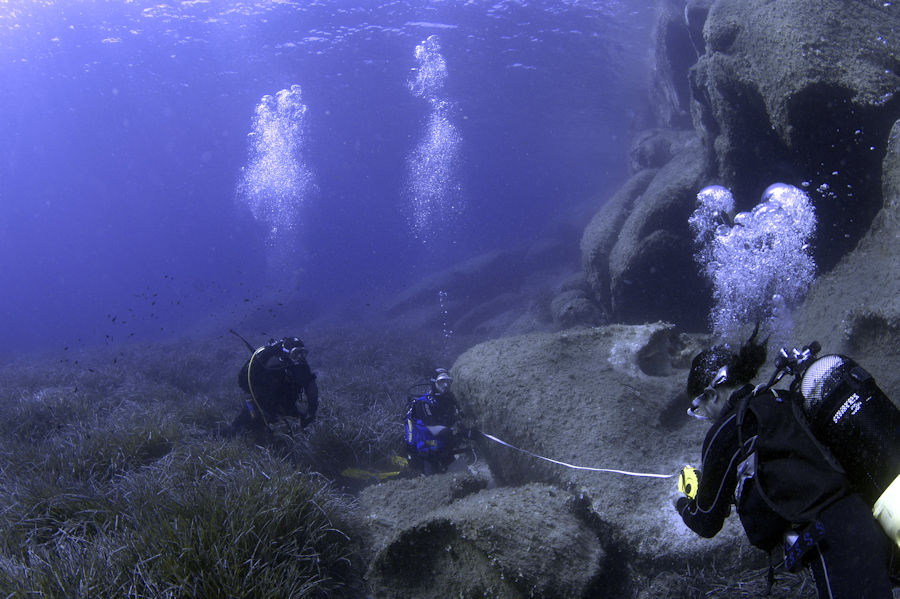 Questa immagine ha l'attributo alt vuoto; il nome del file è DSC_8262-1rid.jpg