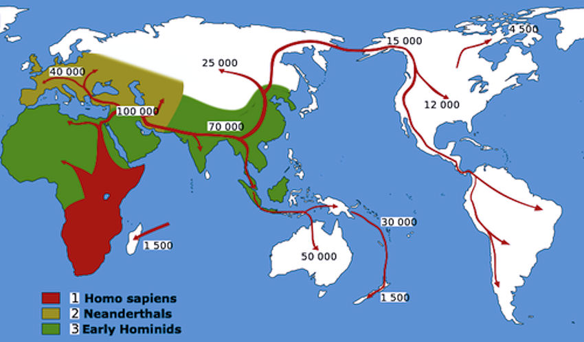 Human Migration1