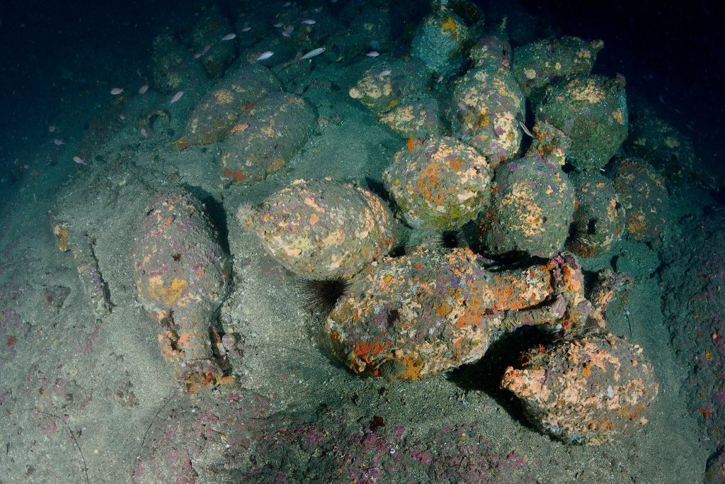 Questa immagine ha l'attributo alt vuoto; il nome del file è capo-mulini-0-1024x683.jpg