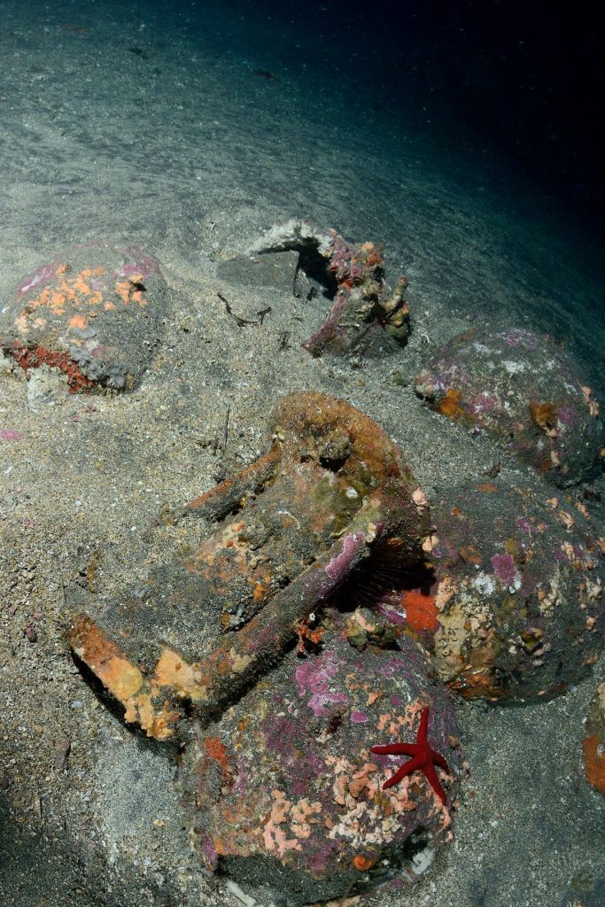 Questa immagine ha l'attributo alt vuoto; il nome del file è capo-mulini-1-683x1024.jpg