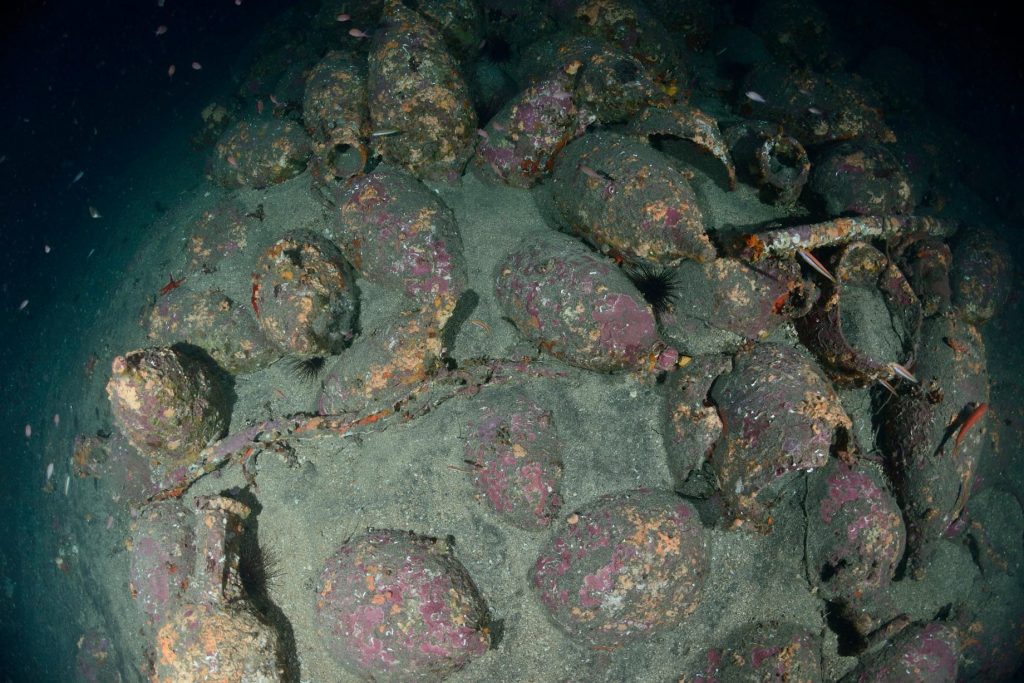 Questa immagine ha l'attributo alt vuoto; il nome del file è capo-mulini-2-1024x683.jpg