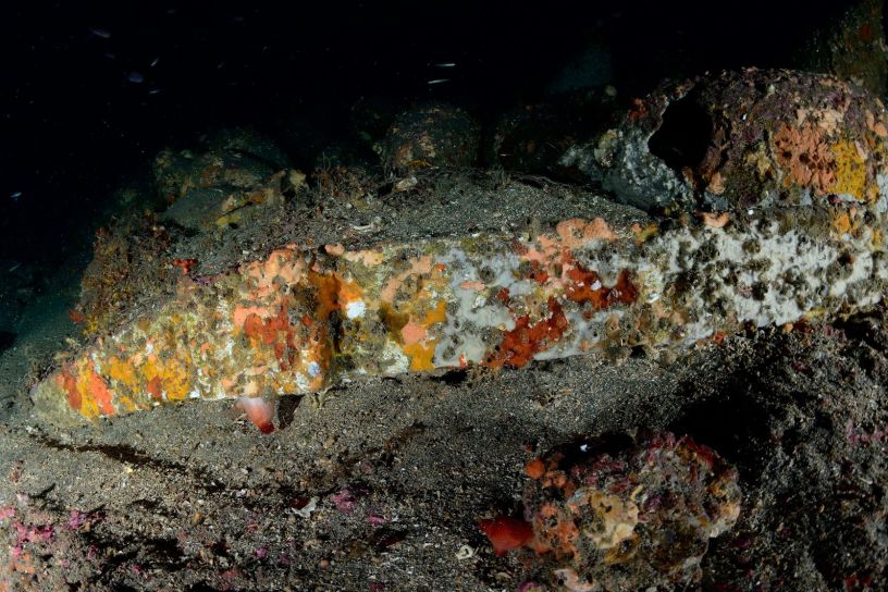 Questa immagine ha l'attributo alt vuoto; il nome del file è soprintendenza-del-mare-relitto4.jpg