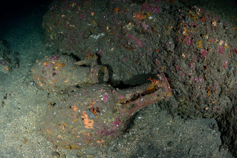 Questa immagine ha l'attributo alt vuoto; il nome del file è soprintendenza-del-mare-relitto5.jpg