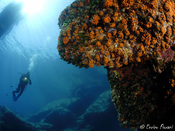 Questa immagine ha l'attributo alt vuoto; il nome del file è ventotene-6.jpg