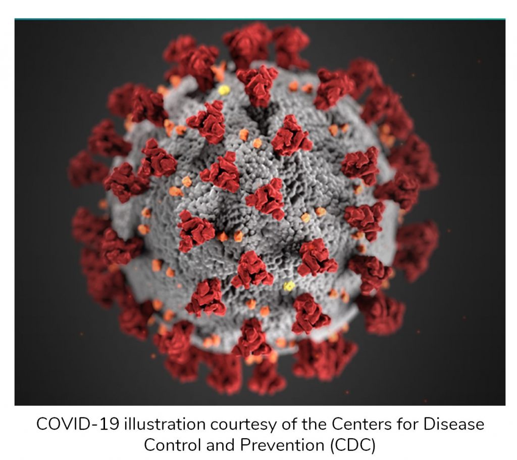 Questa immagine ha l'attributo alt vuoto; il nome del file è Covid-19-cdc2-1024x910.jpg