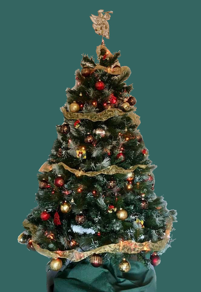 Questa immagine ha l'attributo alt vuoto; il nome del file è albero-2020-Natale.jpg