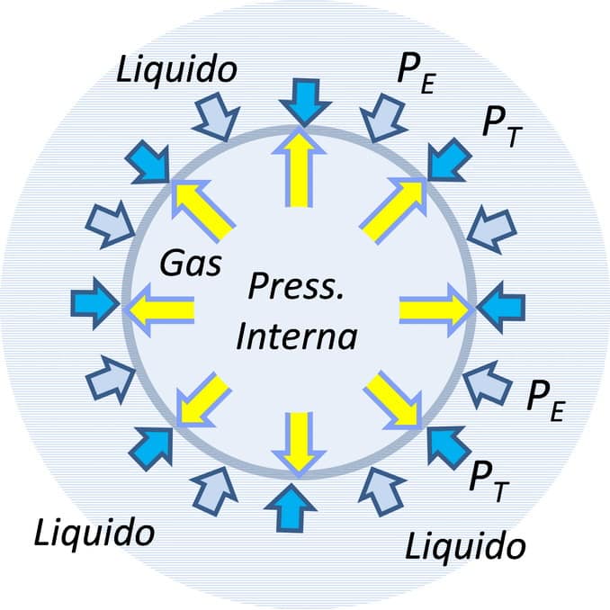 Questa immagine ha l'attributo alt vuoto; il nome del file è cicali-5.jpg
