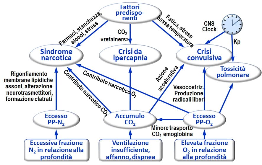 Questa immagine ha l'attributo alt vuoto; il nome del file è cicali-6.jpg