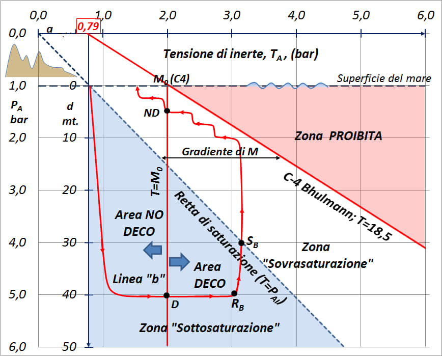 Questa immagine ha l'attributo alt vuoto; il nome del file è cicali.jpg