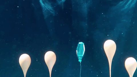 Questa immagine ha l'attributo alt vuoto; il nome del file è bolla-esplosione-subacquea.gif