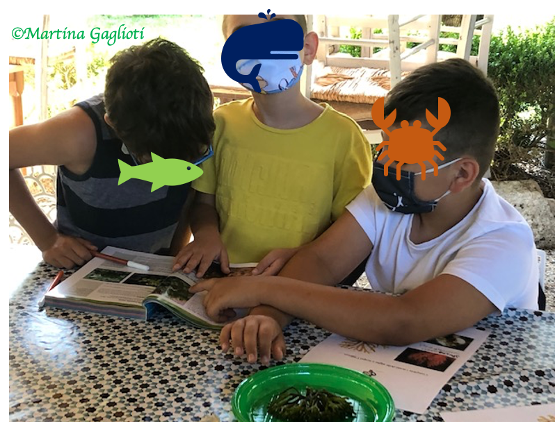 Questa immagine ha l'attributo alt vuoto; il nome del file è mbiokids-2.png