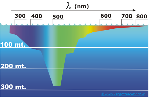 Questa immagine ha l'attributo alt vuoto; il nome del file è assorbimento-luce-acqua.png