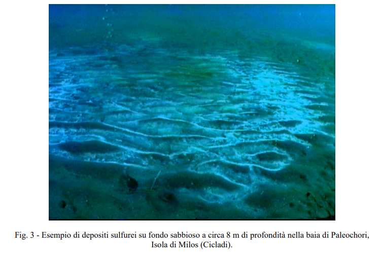 Questa immagine ha l'attributo alt vuoto; il nome del file è thermal-vent-fig-3-aliani.png