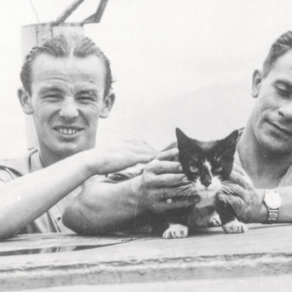 Questa immagine ha l'attributo alt vuoto; il nome del file è simon-cat-on-board.jpg