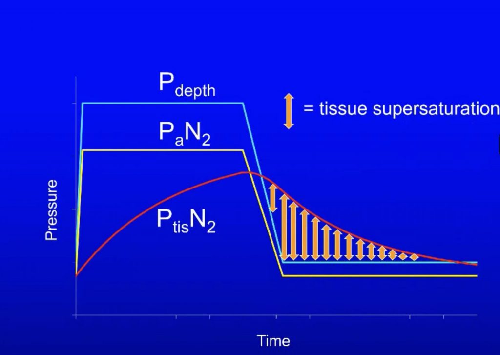 Questa immagine ha l'attributo alt vuoto; il nome del file è supersaturazione-dei-tessuti-1024x727.jpeg