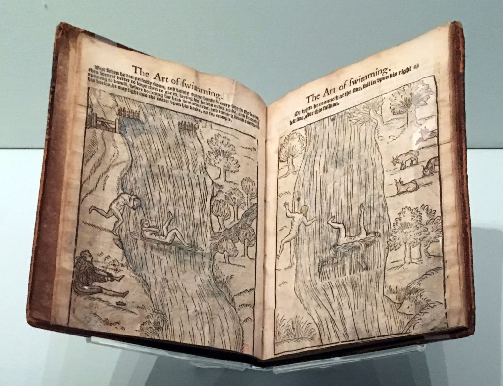 Questa immagine ha l'attributo alt vuoto; il nome del file è SWIMME2-1024x787.jpg