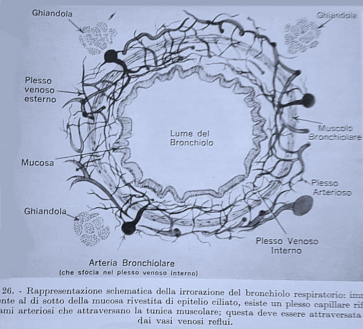 Questa immagine ha l'attributo alt vuoto; il nome del file è cas-3-mod.png