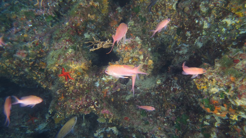 Questa immagine ha l'attributo alt vuoto; il nome del file è IMG_6400-1024x575.jpg