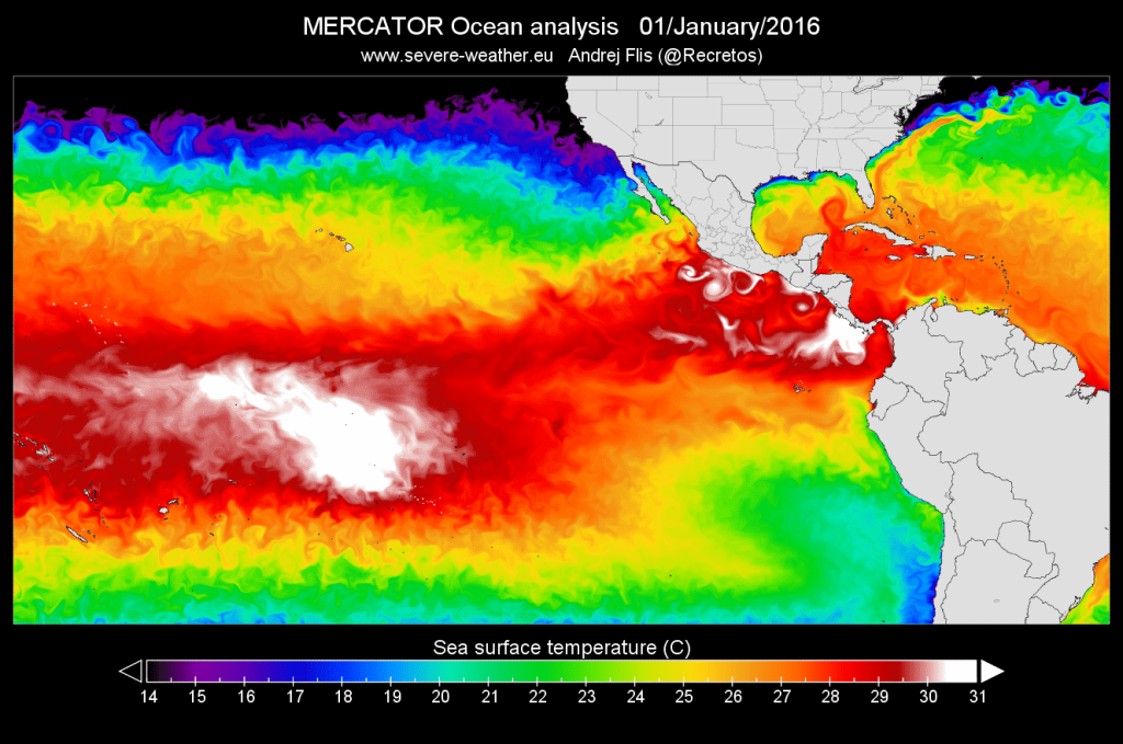 Questa immagine ha l'attributo alt vuoto; il nome del file è el-nino-temperature-analysis-tropical-pacific-1024x679.png