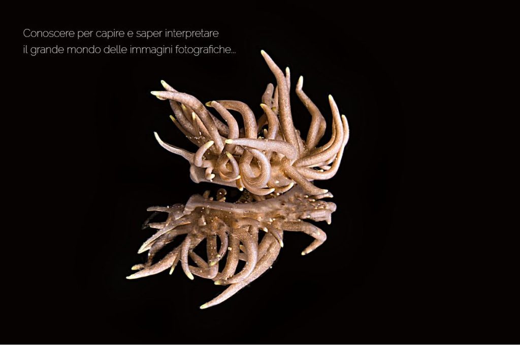 Questa immagine ha l'attributo alt vuoto; il nome del file è francesco-pacienza-1024x681.jpg