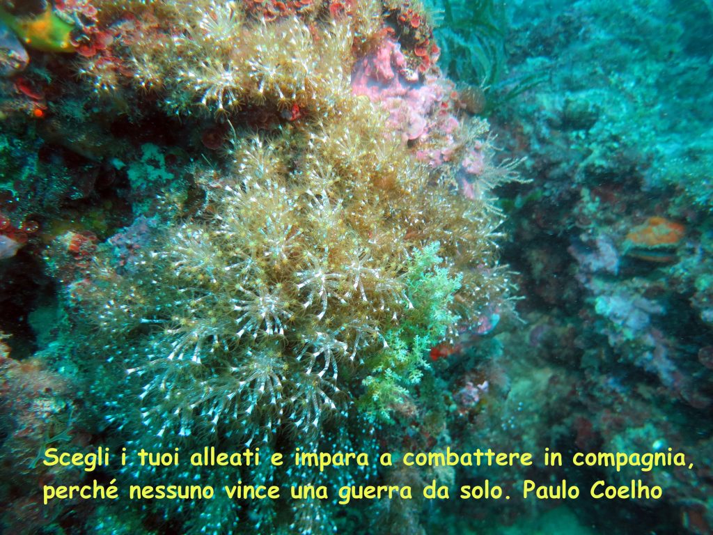 Questa immagine ha l'attributo alt vuoto; il nome del file è messaggio-1024x768.jpg