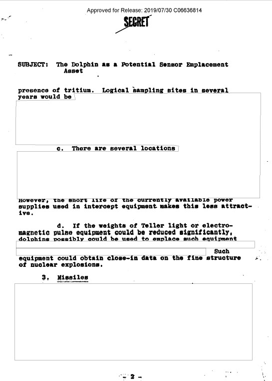 Questa immagine ha l'attributo alt vuoto; il nome del file è cia-dolphin-2.jpg