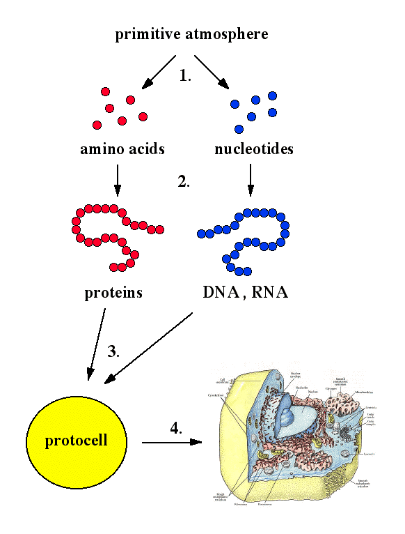 Questa immagine ha l'attributo alt vuoto; il nome del file è origine-della-vita.gif