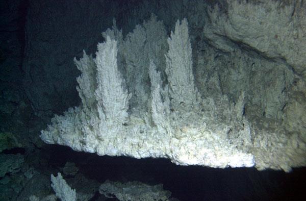 Questa immagine ha l'attributo alt vuoto; il nome del file è Lost_City_hydrothermal_field_.jpg
