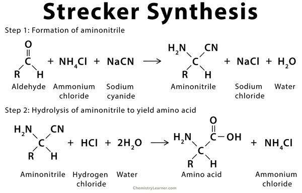 Questa immagine ha l'attributo alt vuoto; il nome del file è Strecker-Synthesis.jpg